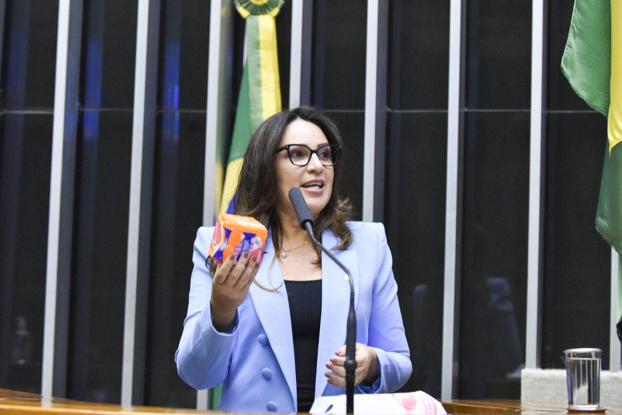 Deputada federal Rejane Dias apresentou o kit